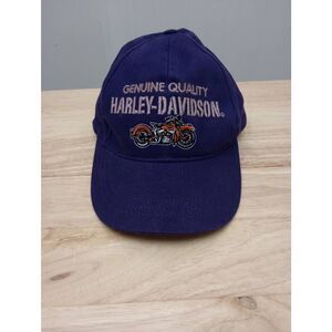 Harley-Davidson purple baseball cap.6-8in